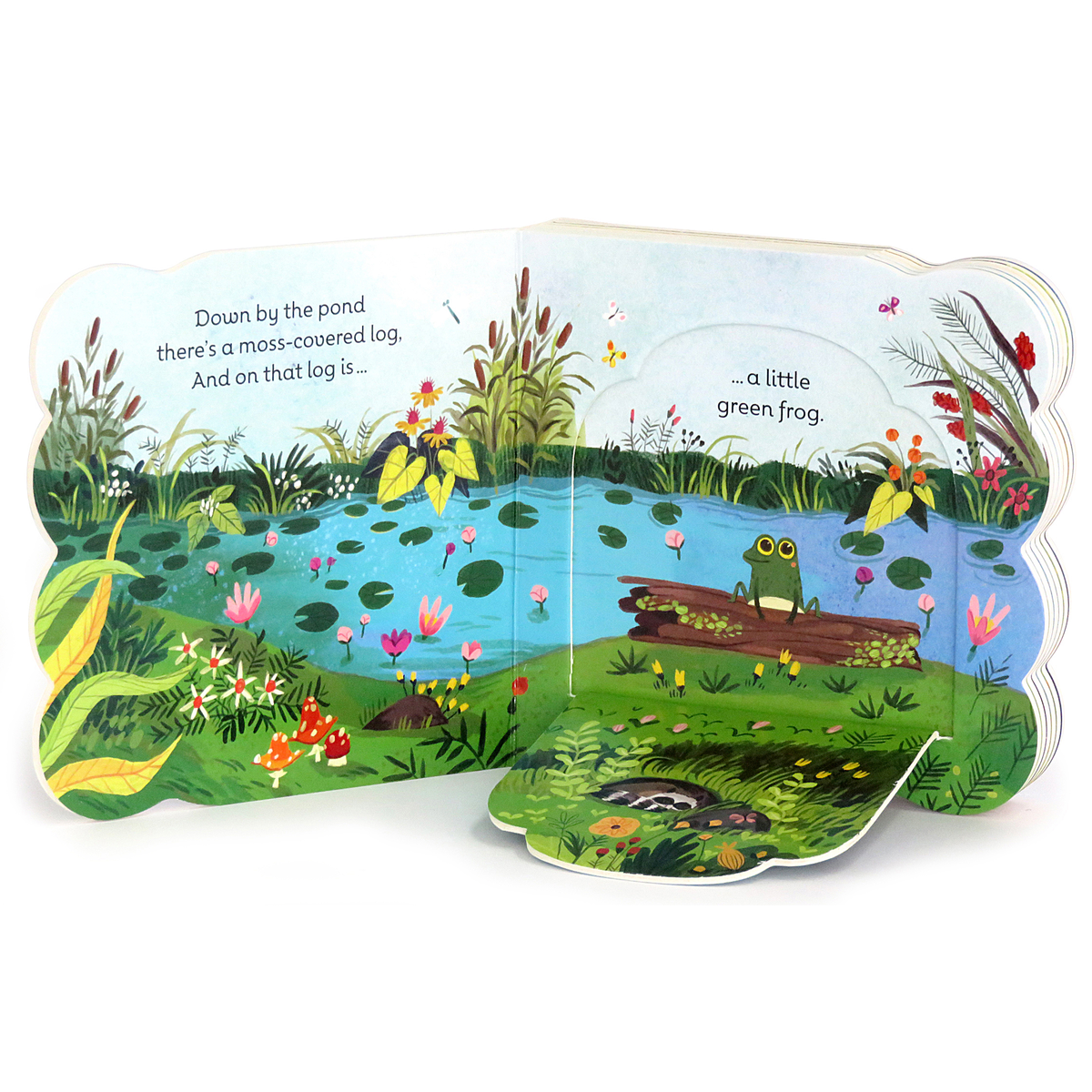 Children's book open to a page with a frog on a log by a pond