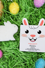 Spongellé | Billie Bunny Nature Animals Sponge  | Kids