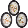 Three oval wall art pieces with bird and floral designs on a white background