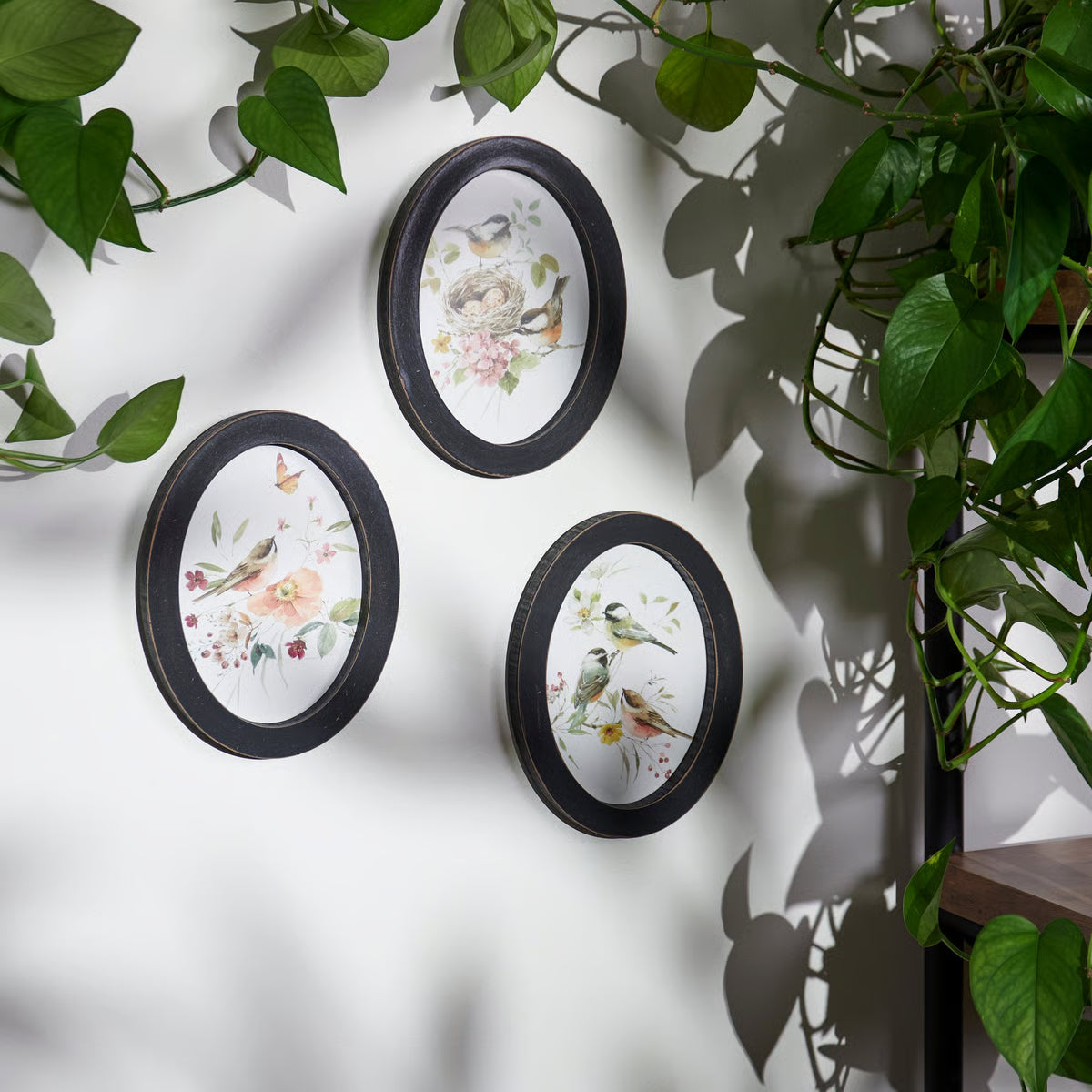 Three oval wall art pieces with floral and bird designs on a white wall, surrounded by green leaves.