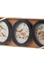 Three decorative plates with bird and floral designs in a cardboard box.