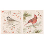 Two clothes featuring birds and nature elements on a beige background