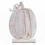 Decorative white pumpkin on a white background