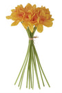 Bouquet of yellow flowers tied with a string on a white background