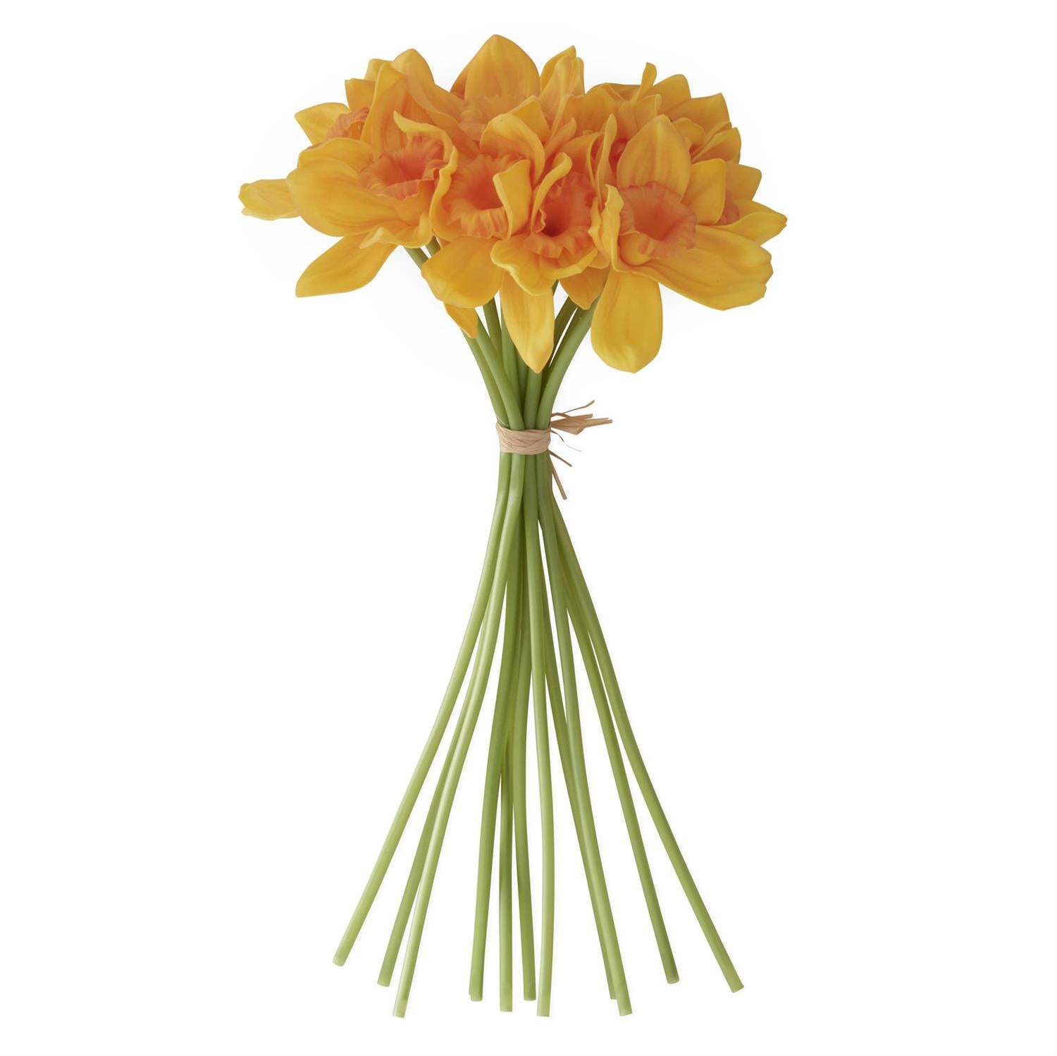 Bouquet of yellow flowers tied with a string on a white background