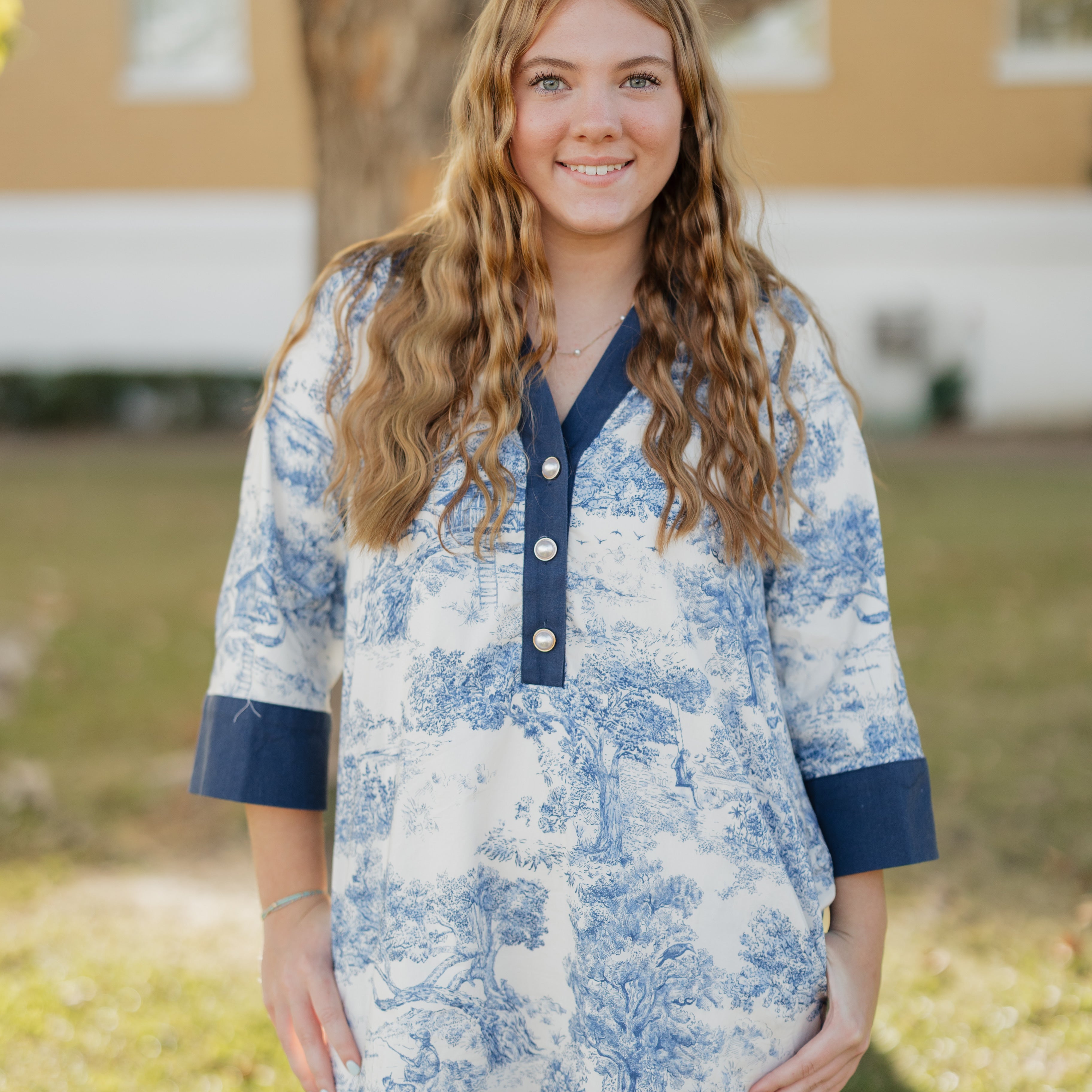 Toile printed Navy Dress