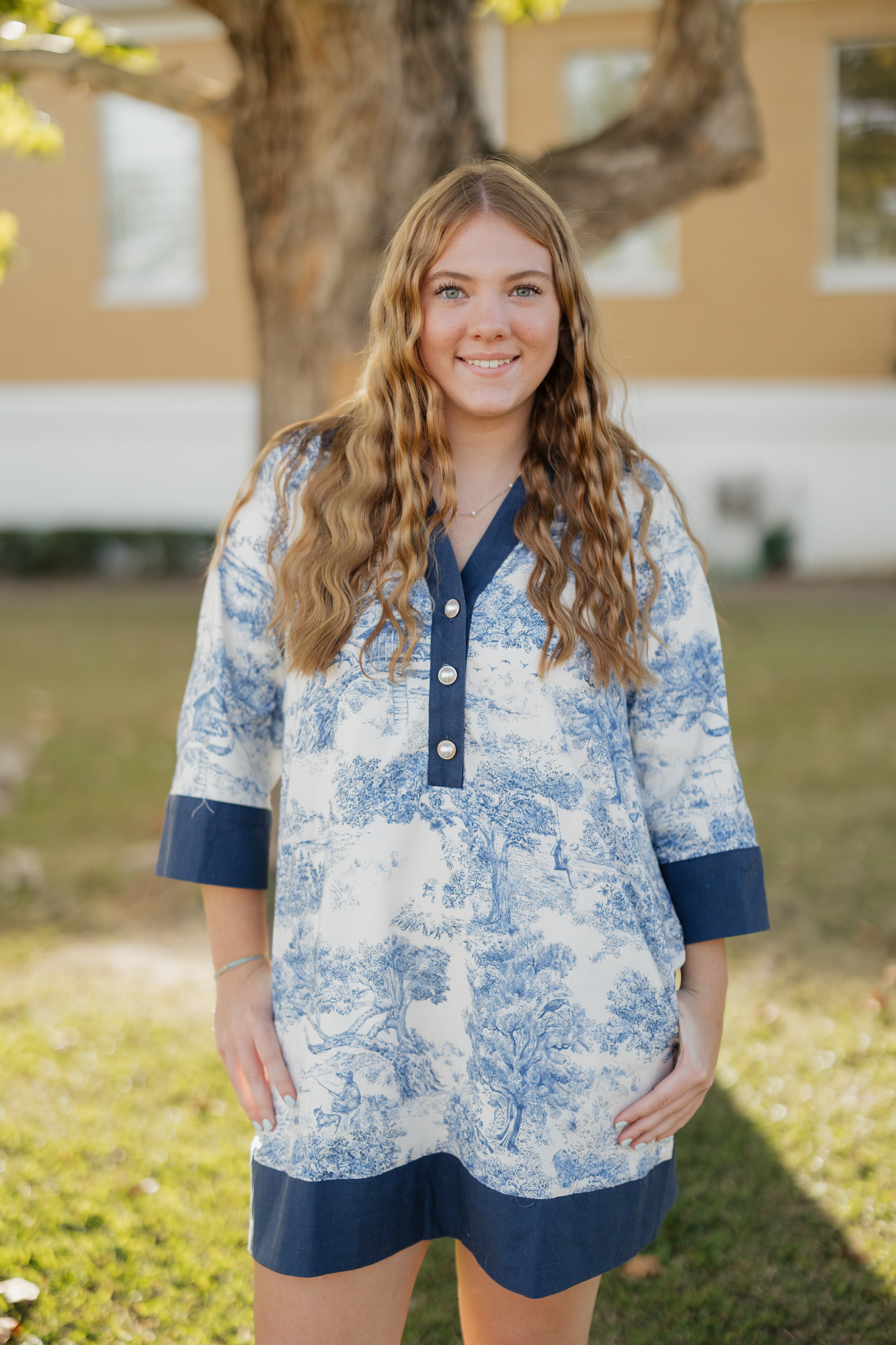 Toile printed Navy Dress