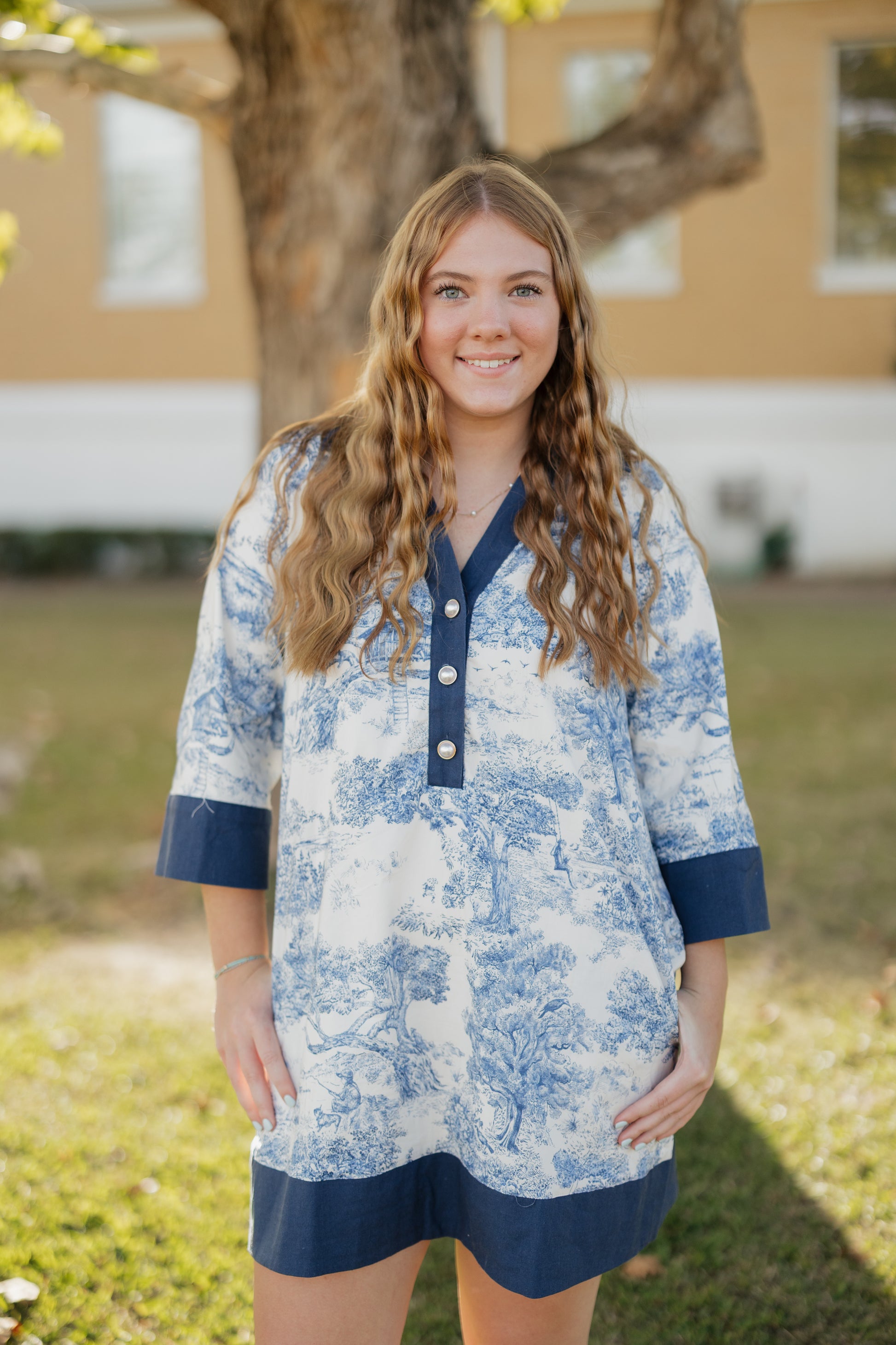 Toile printed Navy Dress