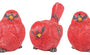 Three red bird figurines on a white background