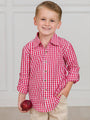 Young boy wearing a red and white checkered shirt holding an apple against a plain background