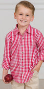 Young boy wearing a red and white checkered shirt holding an apple against a plain background