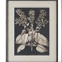 31.5 Inch Wood Framed Black & White Picture