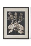 31.5 Inch Wood Framed Black & White Picture