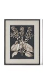 31.5 Inch Wood Framed Black & White Picture