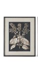 31.5 Inch Wood Framed Black & White Picture
