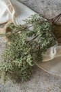 Ragon House - 41" SAGE CASPIA SPRAY