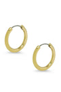 Gold hoop earrings on a white background