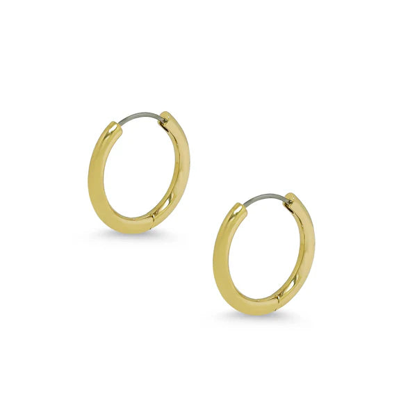 Gold hoop earrings on a white background