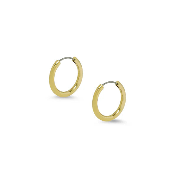 Gold hoop earrings on a white background