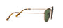 Sunglasses with gold frame and green lenses on a white background