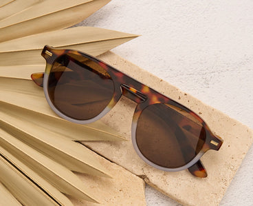 Tortoiseshell sunglasses with brown lenses on a stone surface with palm leaves.