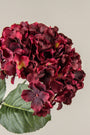 Ragon House - 27" BURGUNDY HYDRANGEA STEM