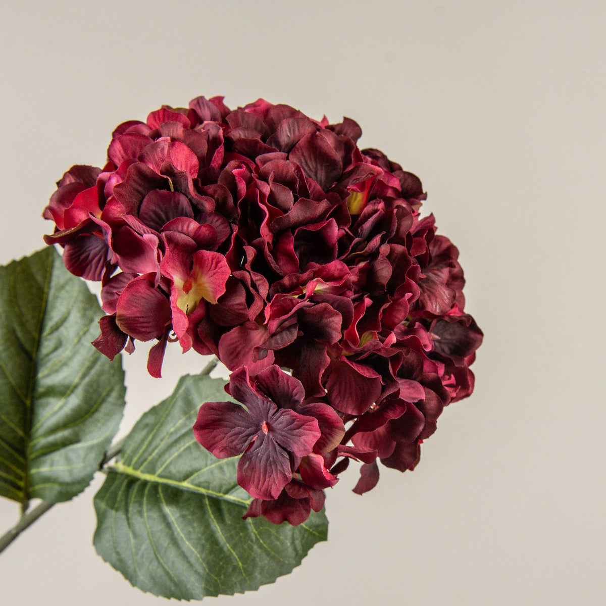 Ragon House - 27" BURGUNDY HYDRANGEA STEM