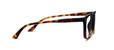 Sunglasses with tortoiseshell frame on a white background