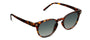 Sunglasses with tortoiseshell frame and dark lenses on a white background