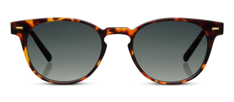 Sunglasses with tortoiseshell frame and dark lenses on a white background