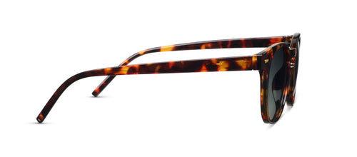Tortoiseshell sunglasses on a white background