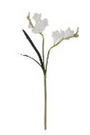 21 Inch White Real Touch Freesia Stem