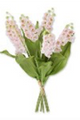 Bouquet of pink flowers with green leaves on a white background