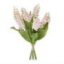 Bouquet of pink flowers with green leaves on a white background