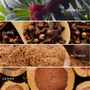 Collage of bayberry, clove, nutmeg, and cedar with labels.