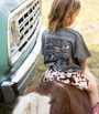 Child sitting on a horse wearing a shirt with 'Painters in the Field' design, standing next to a vintage truck.
