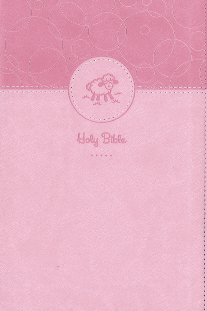 Pink Bible cover with circular design and lamb illustration on a pink background