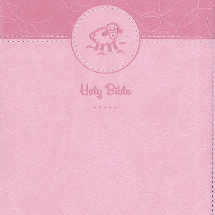 Pink Bible cover with circular design and lamb illustration on a pink background