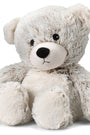 Plush teddy bear on a white background