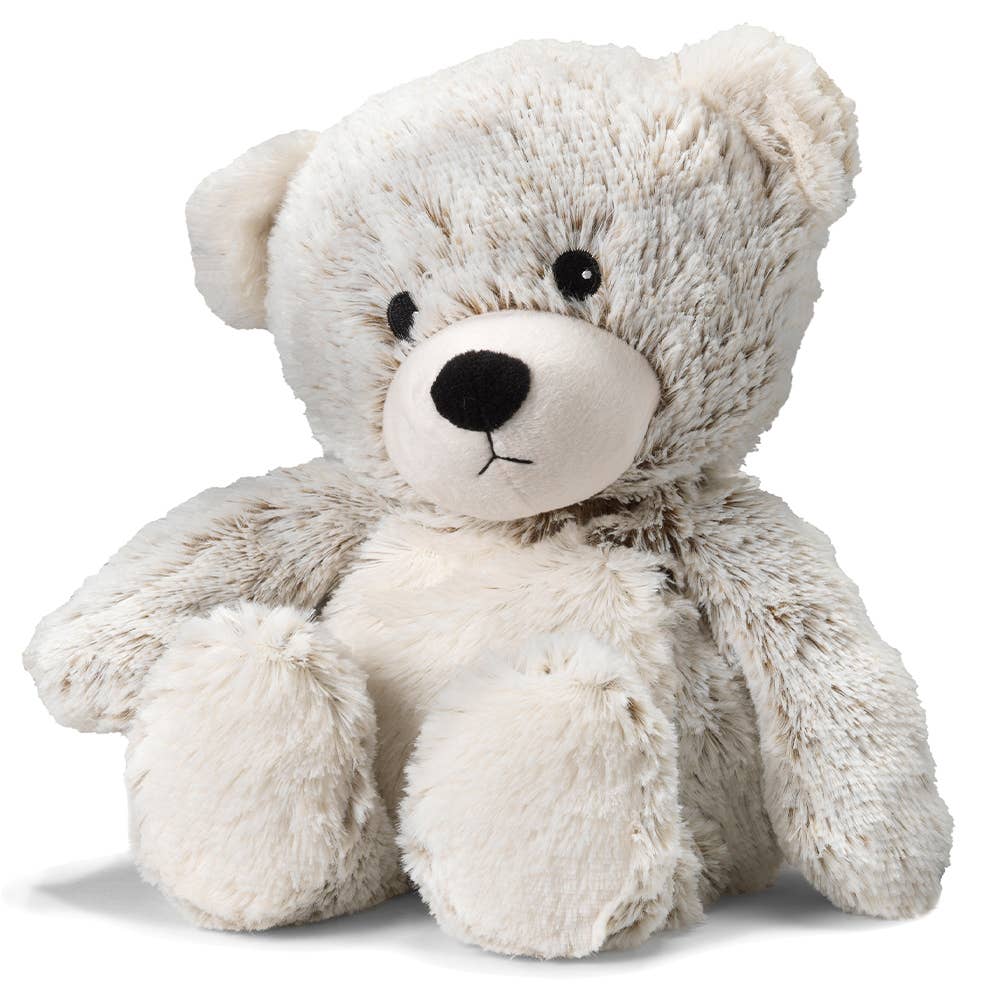 Plush teddy bear on a white background