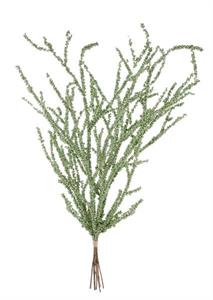 Artificial greenery branch on a white background