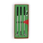 Set of golf clubs in a green box with a red accent