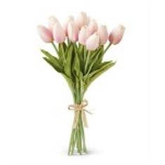 Bouquet of pink tulips tied with a string on a white background