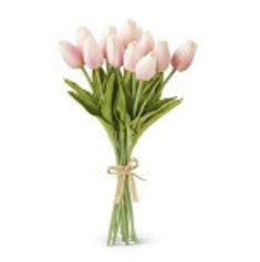 Bouquet of pink tulips tied with a string on a white background