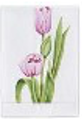  Hand-painted tulip on a white background