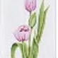  Hand-painted tulip on a white background