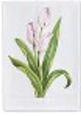 Illustration of a pink flower with green leaves on a white background