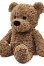 Brown teddy bear on a white background