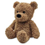 Brown teddy bear on a white background