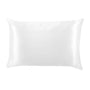 White pillow on a white background
